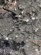 IMG_1984