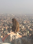 IMG_2163
