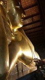 20151113_160640[1]