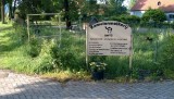 Kamelenmelkerij