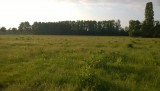 Uitzicht op de camping
