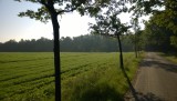 Net van de camping in Aarle-Rixtel