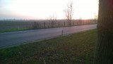 WP_20141123_003