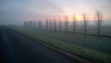 WP_20141214_004