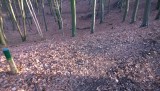 WP_20150214_014