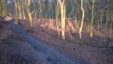 WP_20150214_013