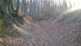 WP_20150214_012