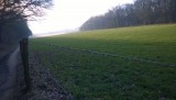 WP_20150214_010