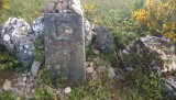 WP_20150608_021