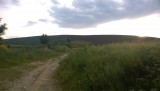 WP_20150608_003
