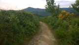 WP_20150608_001