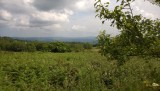 WP_20150611_007