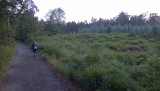 WP_20150613_004