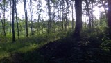 WP_20150613_005