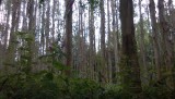 WP_20150613_006