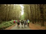 Beyond the way