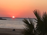 Sunset Market