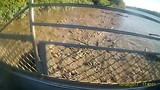 Croc's in Adelaide River