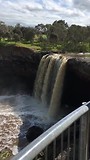 Wannon falls