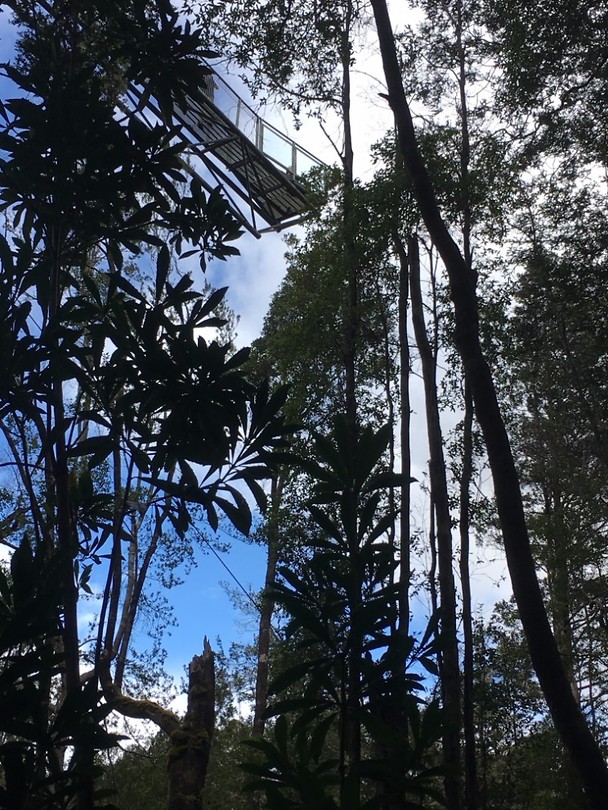 Airwalk