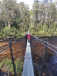 Swinging bridge