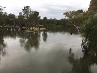 Murray River