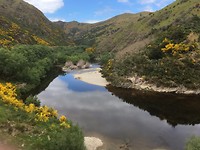 Christmas Creek