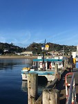 Ferry Stewart Island-Bluff