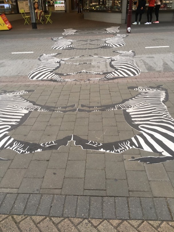 Zebrapad
