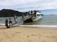 Wilson Ferry