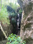 The Grove Scenic Reserve