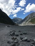 Fox glacier