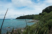 Tiritiri Matangi