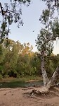 Katherine river