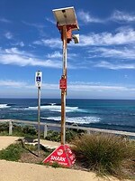 Shark Alarm