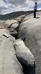 The blowhole