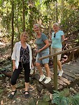 Daintree rainforest