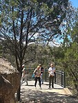 Woolshed Falls