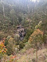 Mason Falls