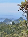 Uitzicht op Tairua
