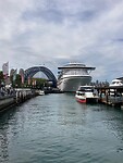 The Harbour Bridge
