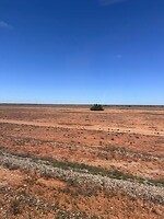 Nullarbor plain
