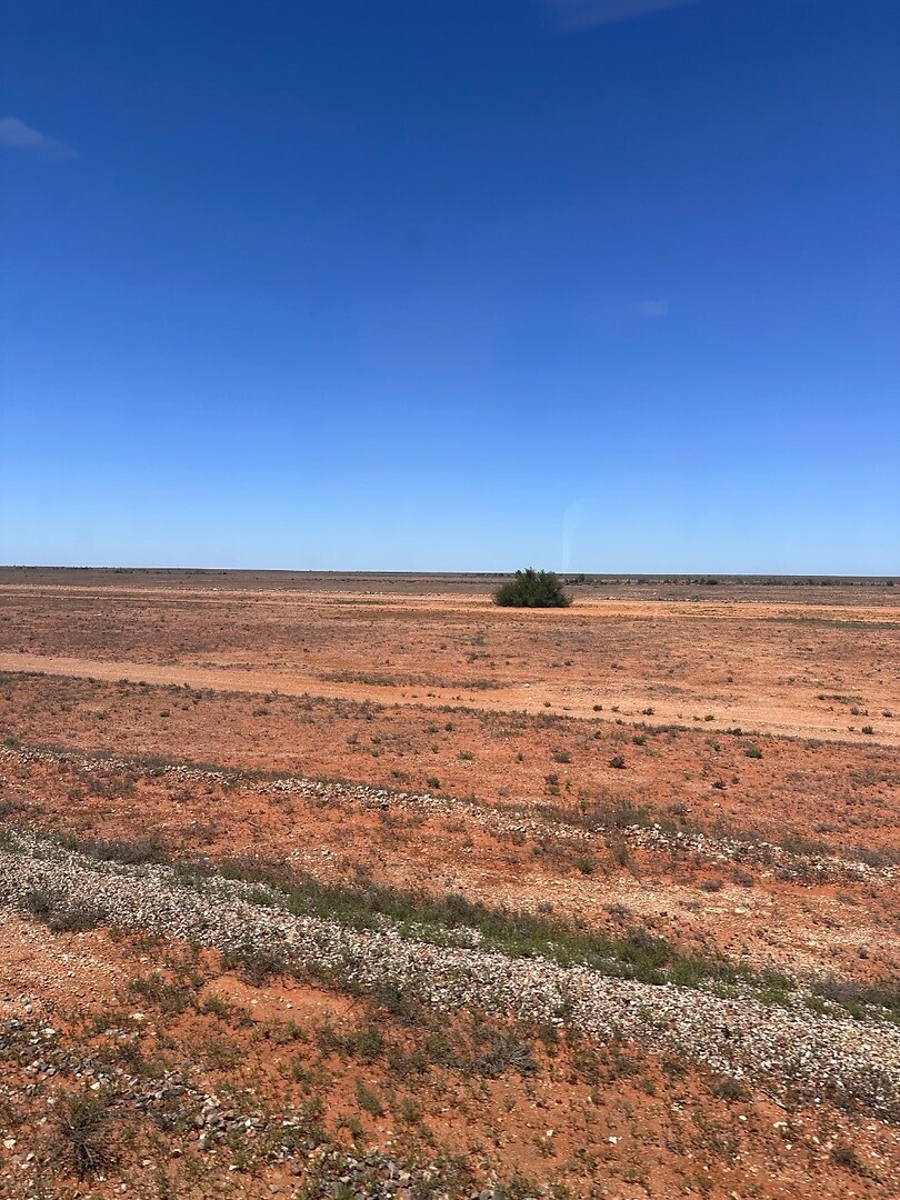 Nullarbor plain