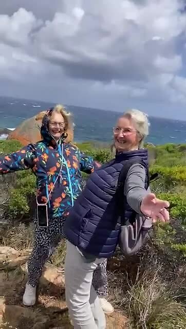 Hangen in de wind