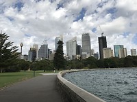 Botanische tuinen achtergrond skyline sydney