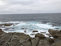 Bondi beach