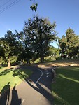 Adelaide