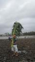 Juhu Beach