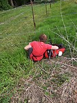 IMG-20220512-WA0062