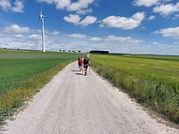 IMG-20220513-WA0045